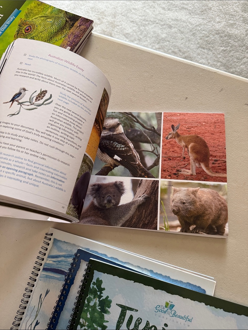 Good & Beautiful Language Arts & Literature Level Six Course Book - Green - Picture 5 of 10